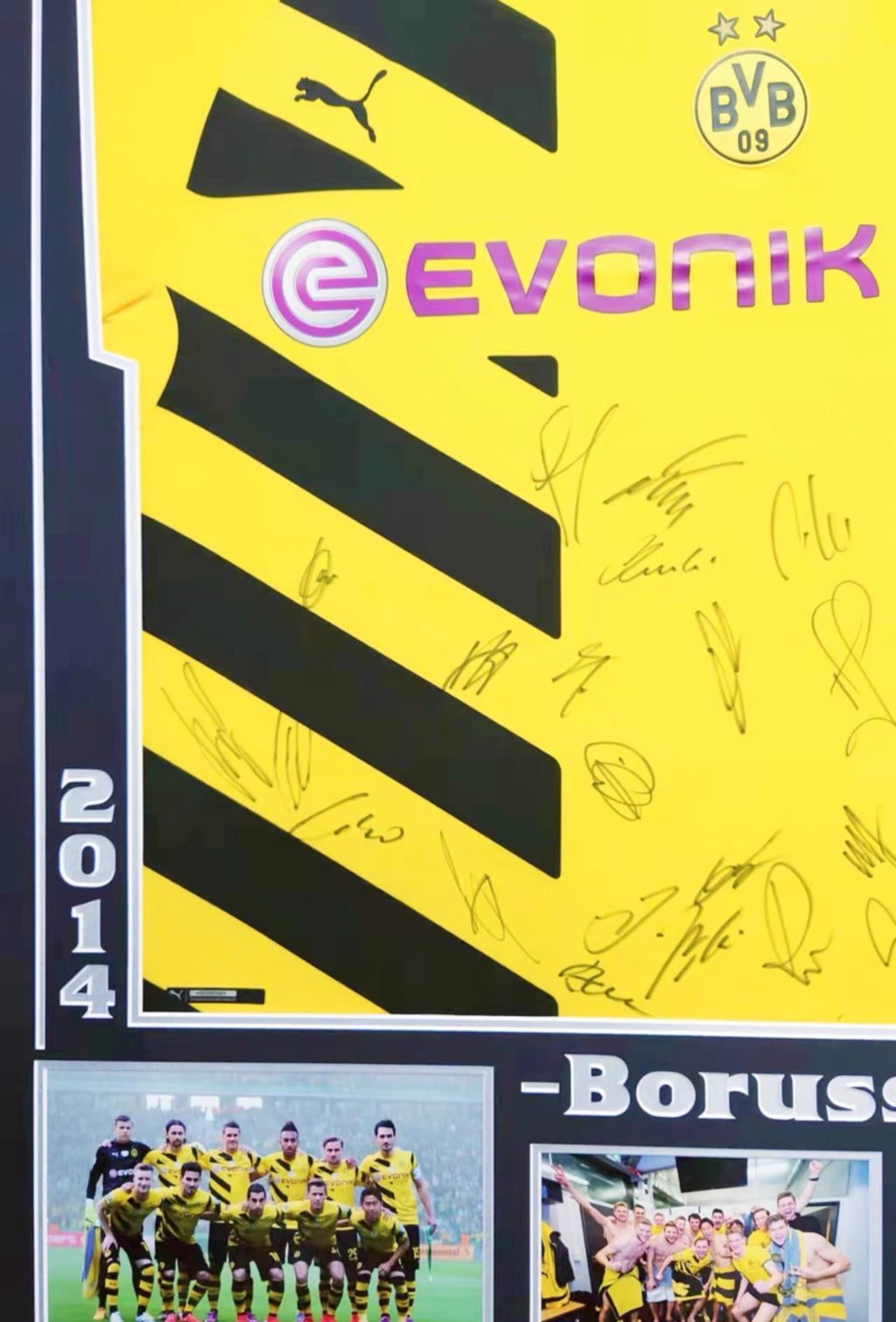 Borussia Dortmund Autographed Jersey Jersey Framing