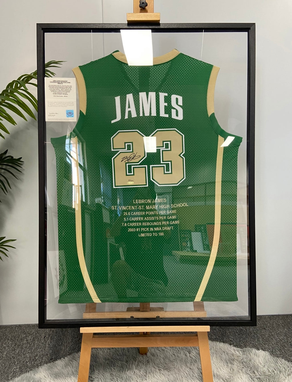 Irish LeBron James Autographed Framed Poster