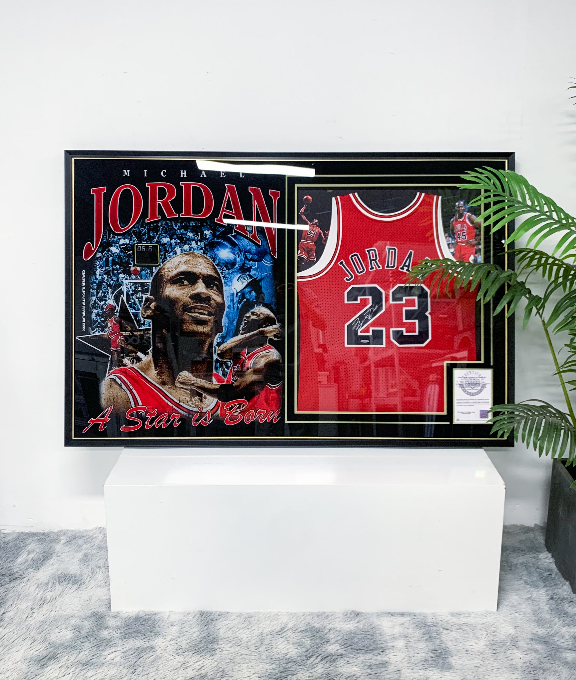 Michael Jordan Chicago Bulls Autographed Jersey Framed