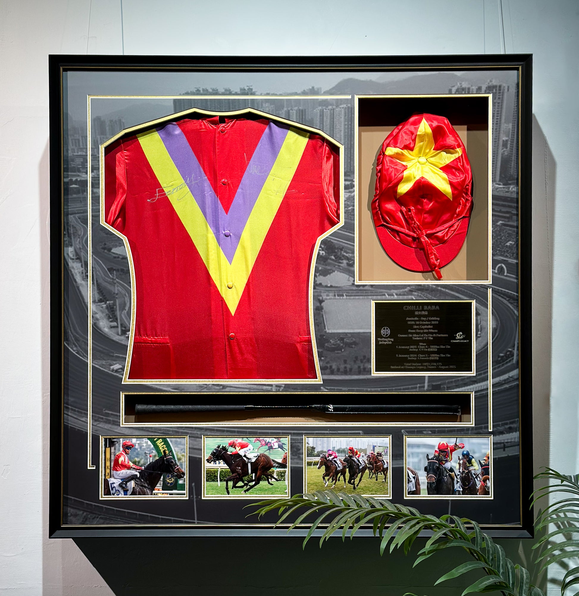 Chilli Baba Horse Racing Silk Framed Display
