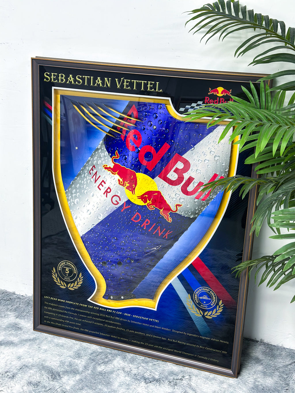 F1 Vettel Red Bull RB6 Left Rear Wing Endplate