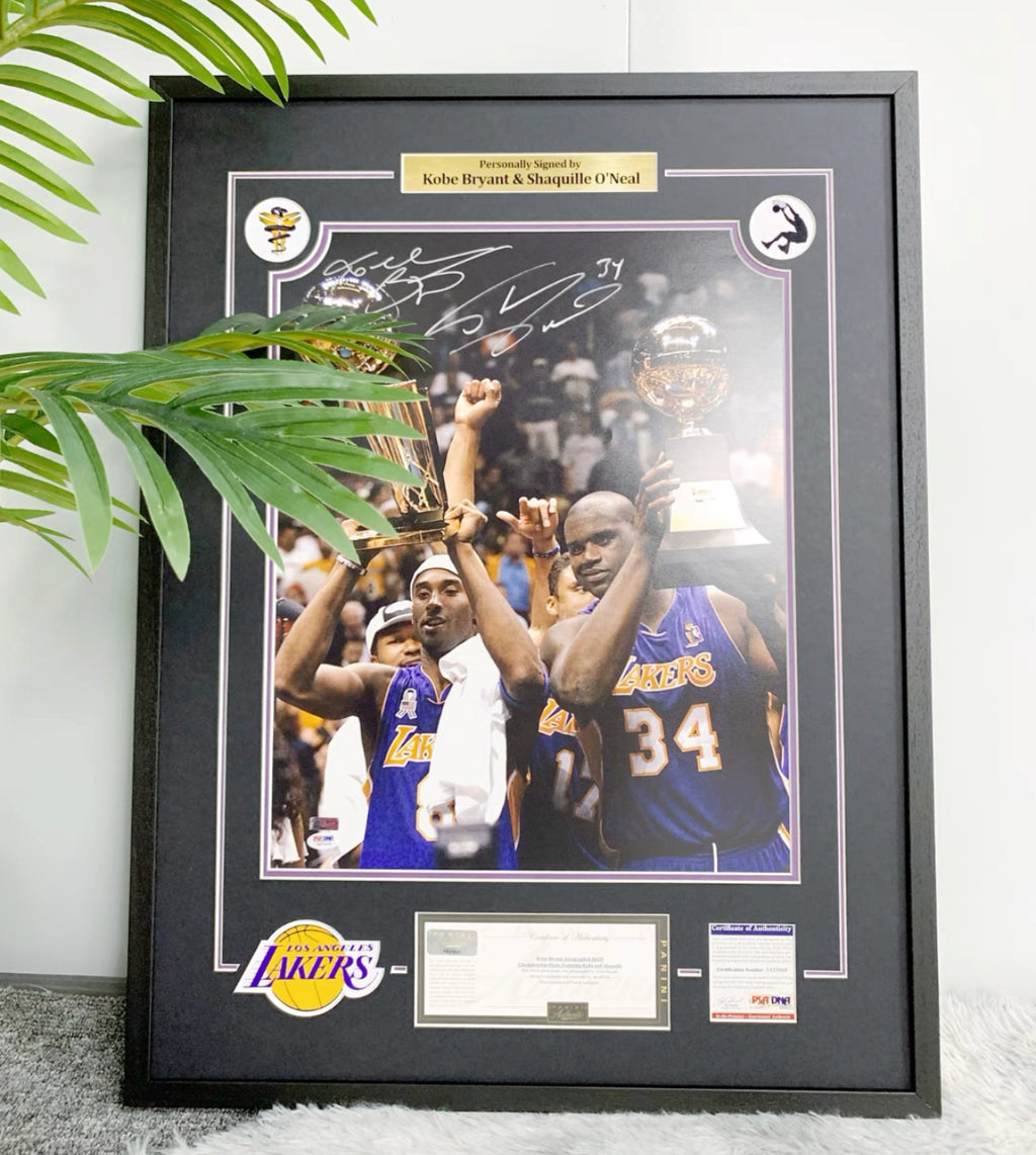 Custom Poster Framing | Wall Art Frame Design Ideas