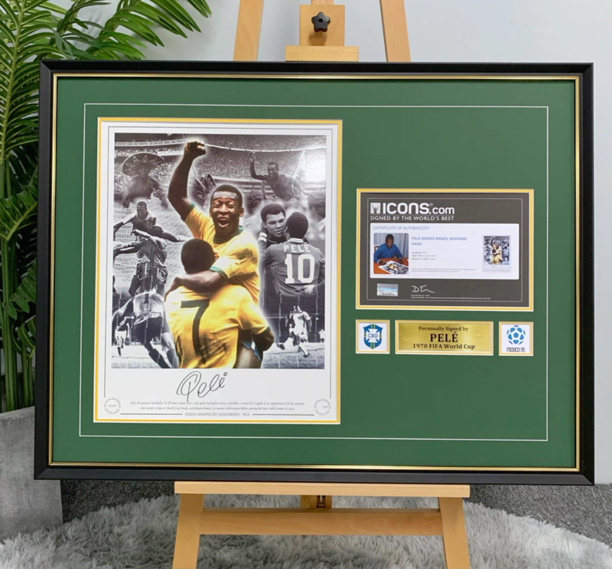 Custom Poster Framing | Minimalist Frame Design Display