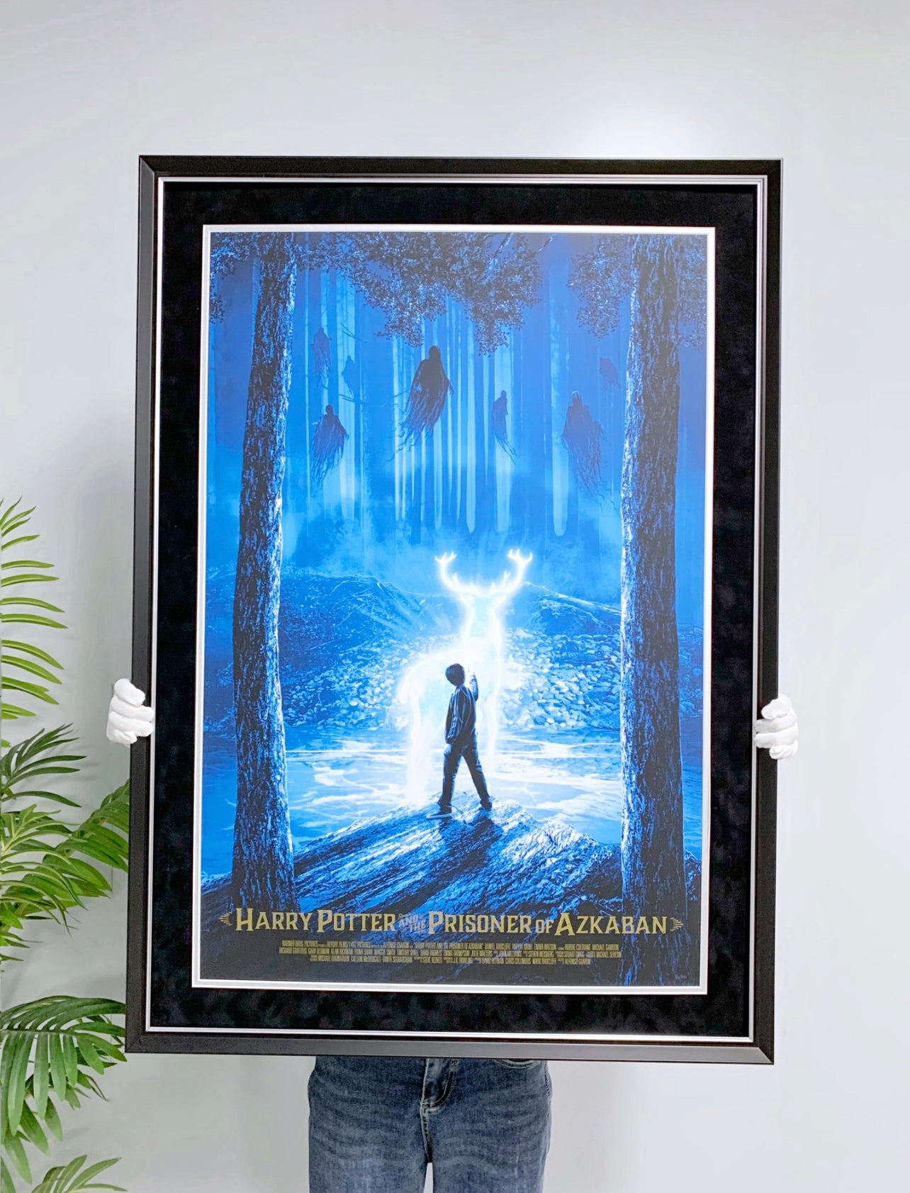 Harry Potter Custom Framed Poster
