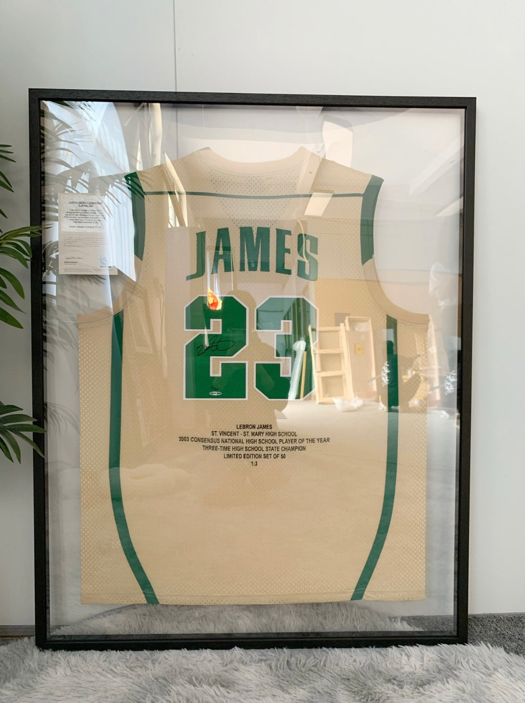 Irish Edition LeBron James Autographed Framed Jersey