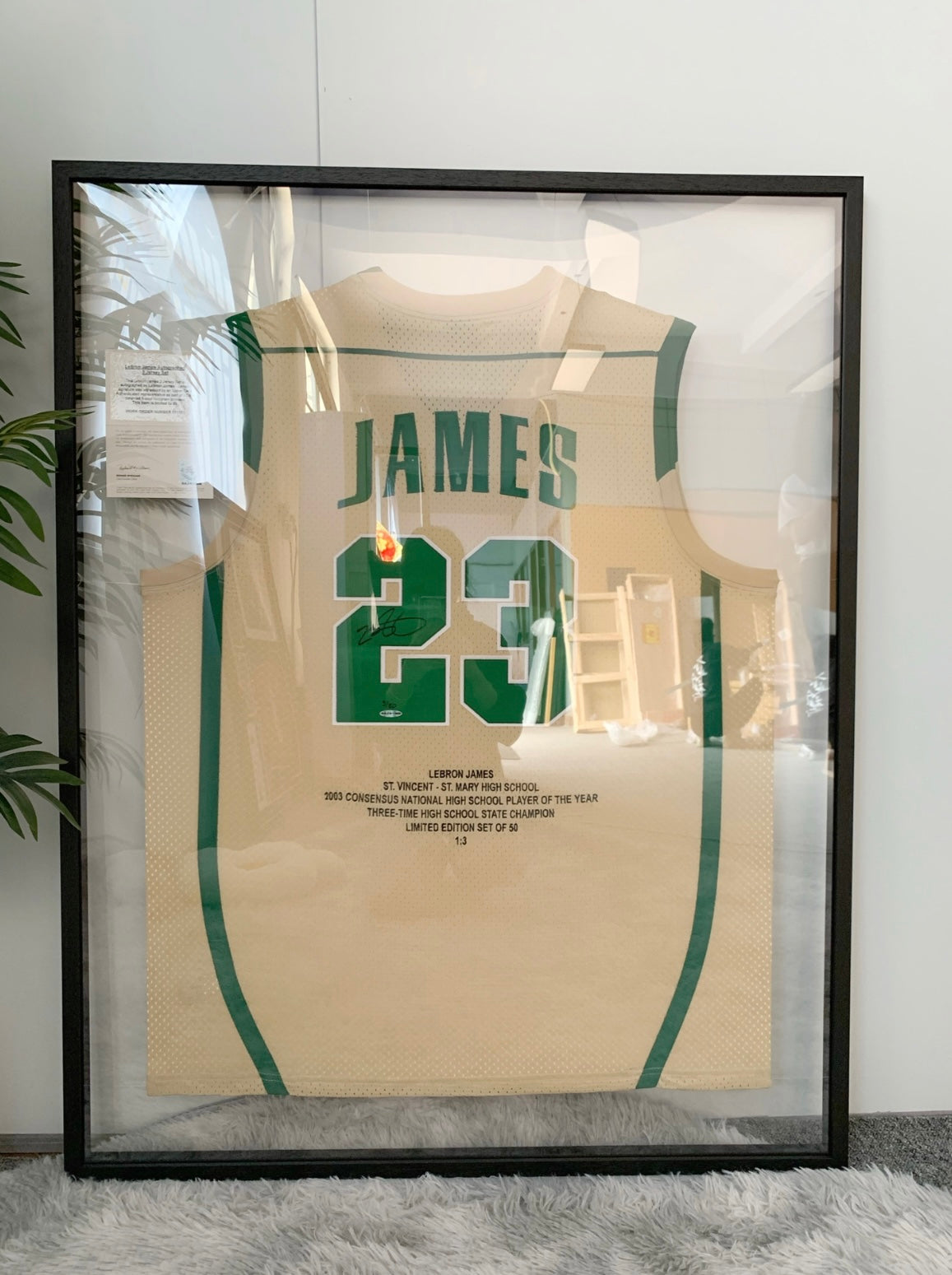 Irish Edition LeBron James Autographed Framed Jersey