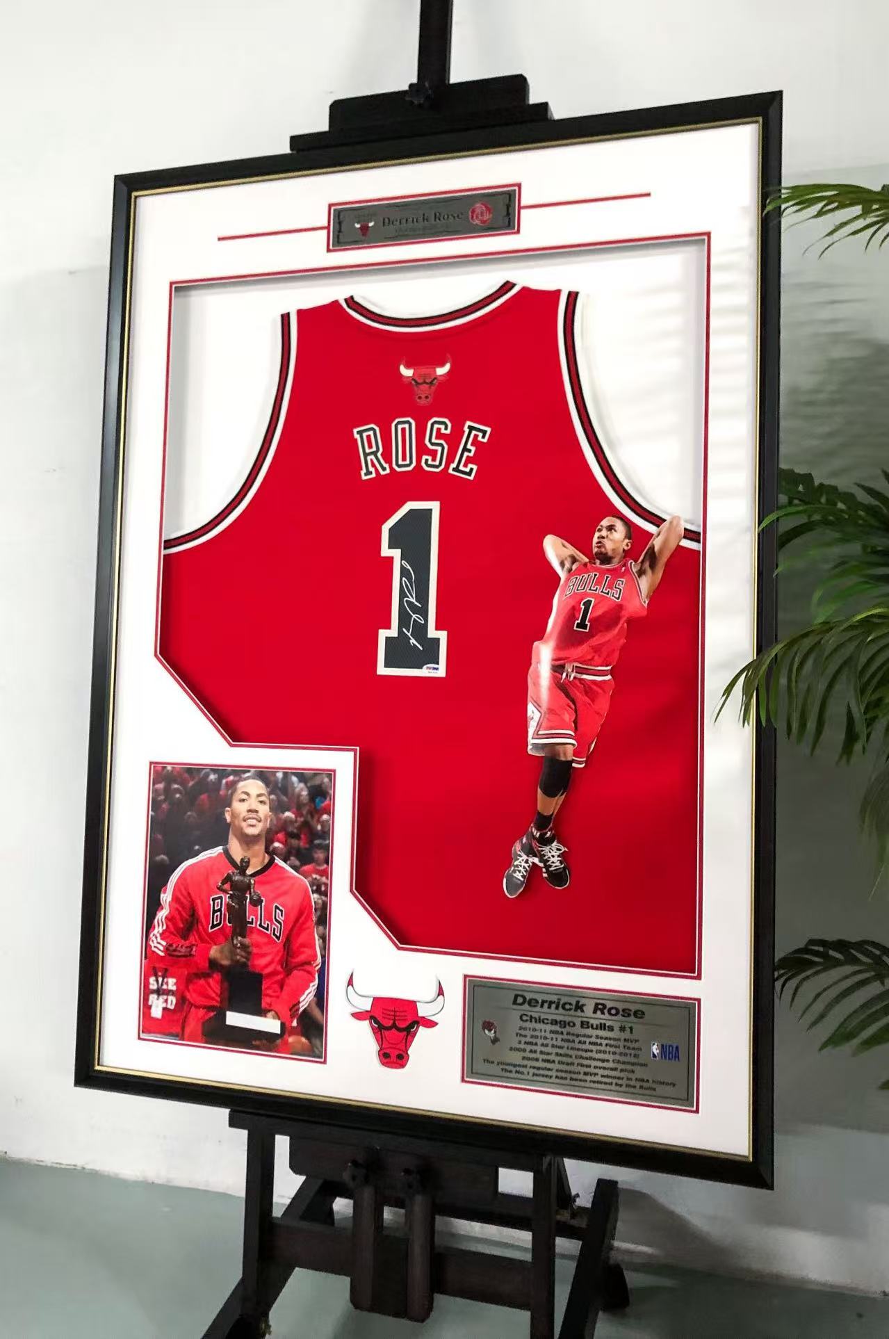 Derrick Rose Chicago Bulls Autographed Jersey Framed