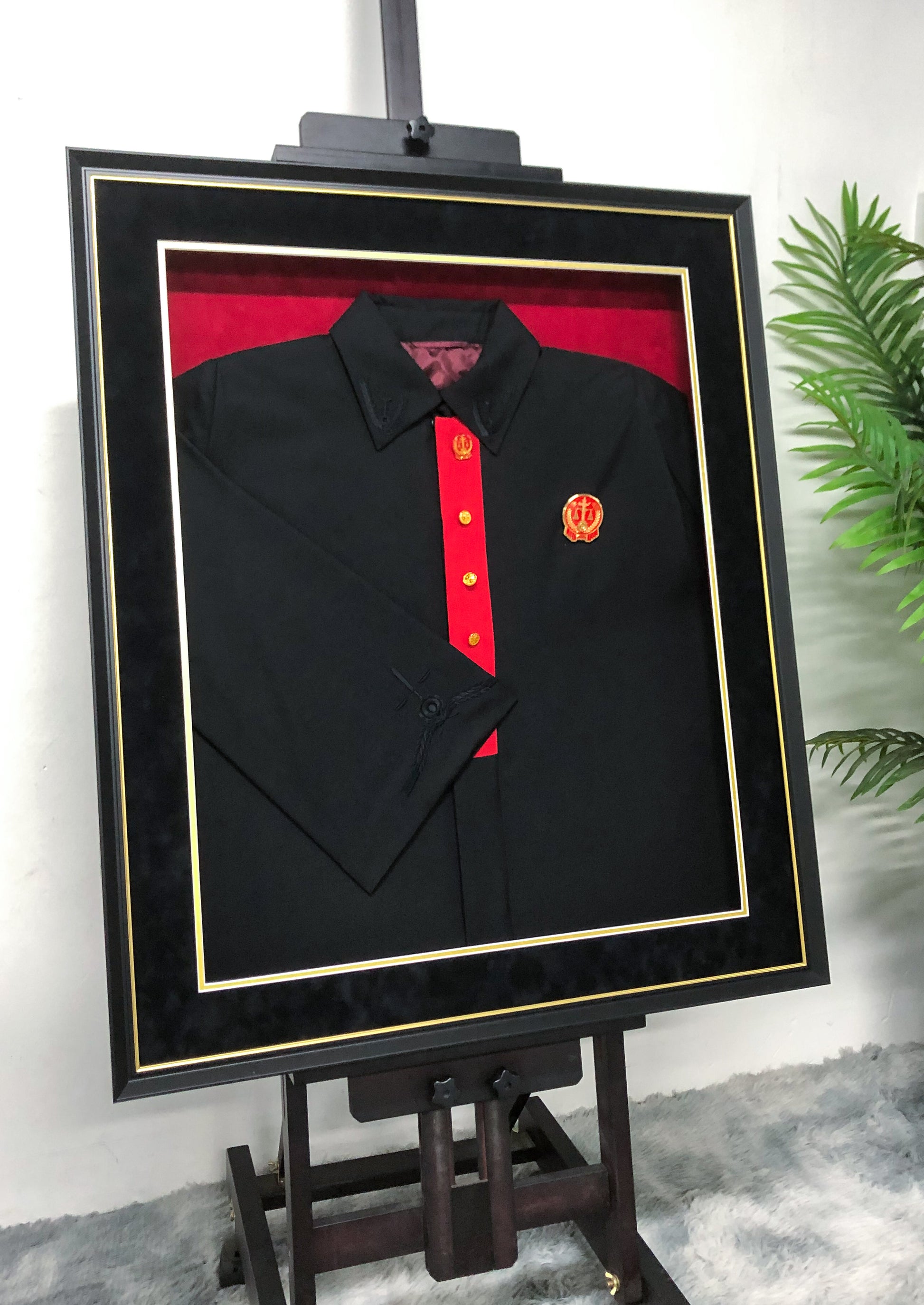 Judge's Robes Framing