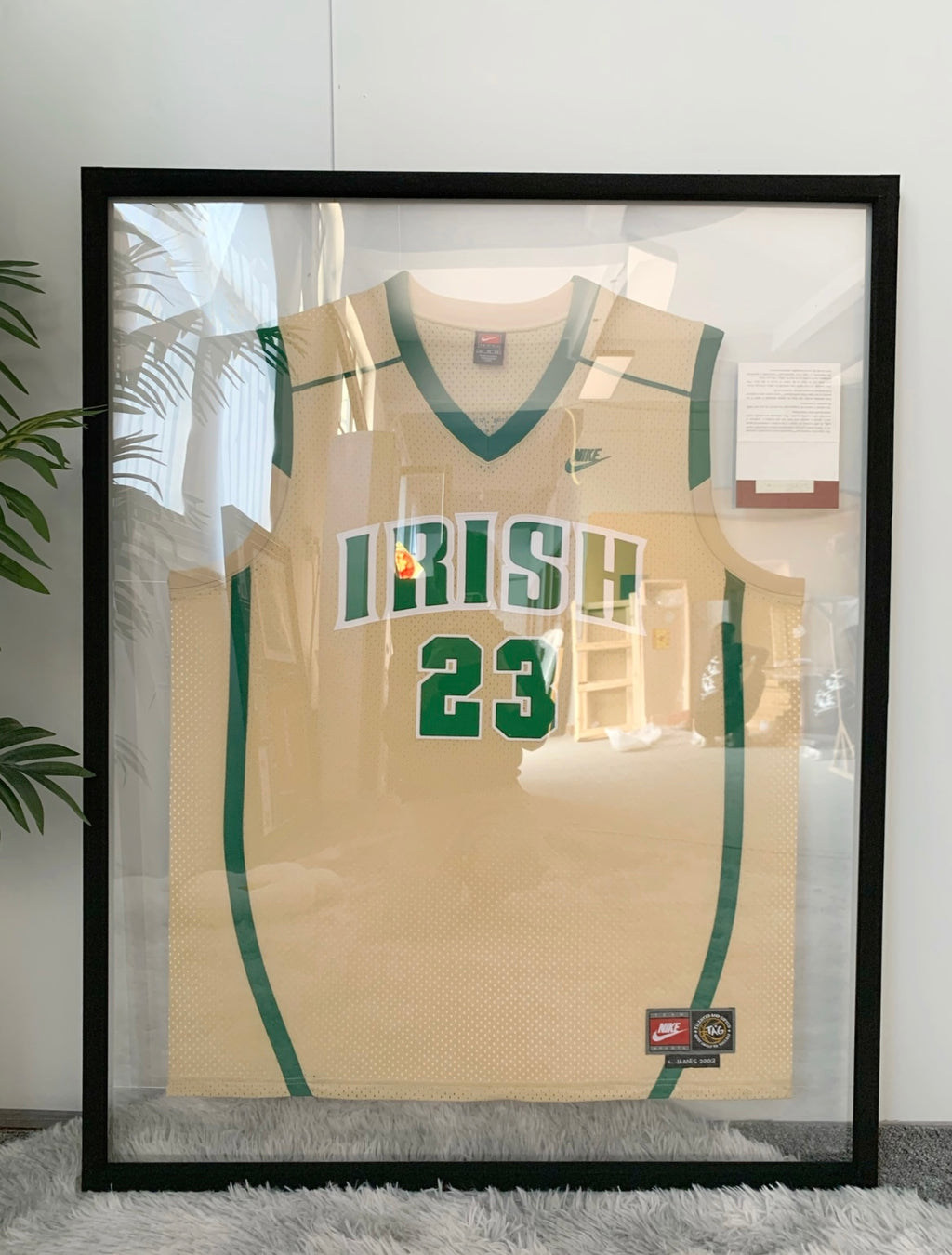 Irish Edition LeBron James Autographed Framed Jersey