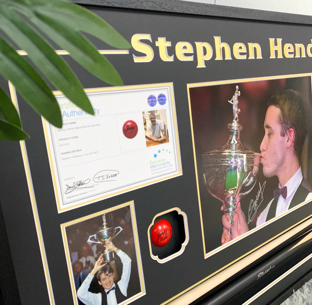 Hendry Sentimental Item Custom Framed