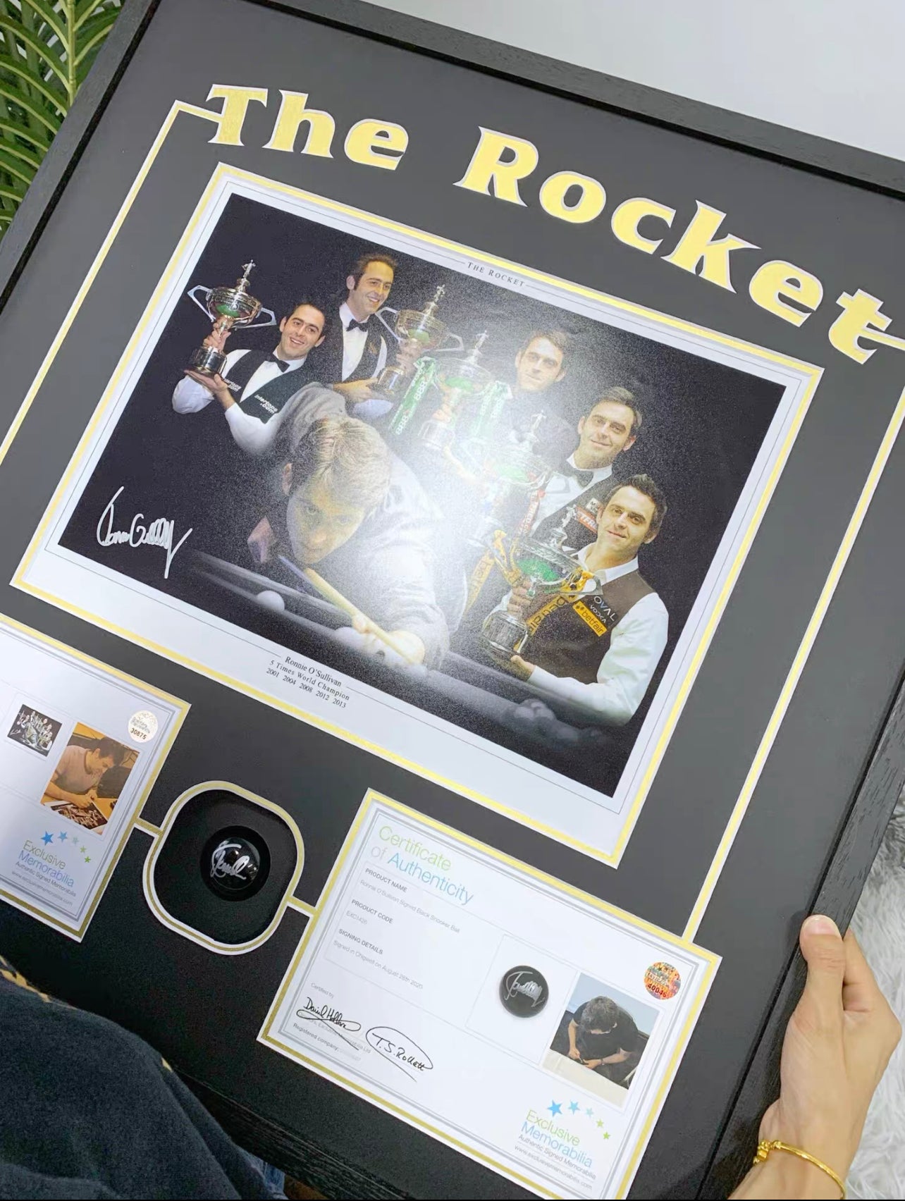Ronnie O'Sullivan Signed Snooker Ball, Custom Framed