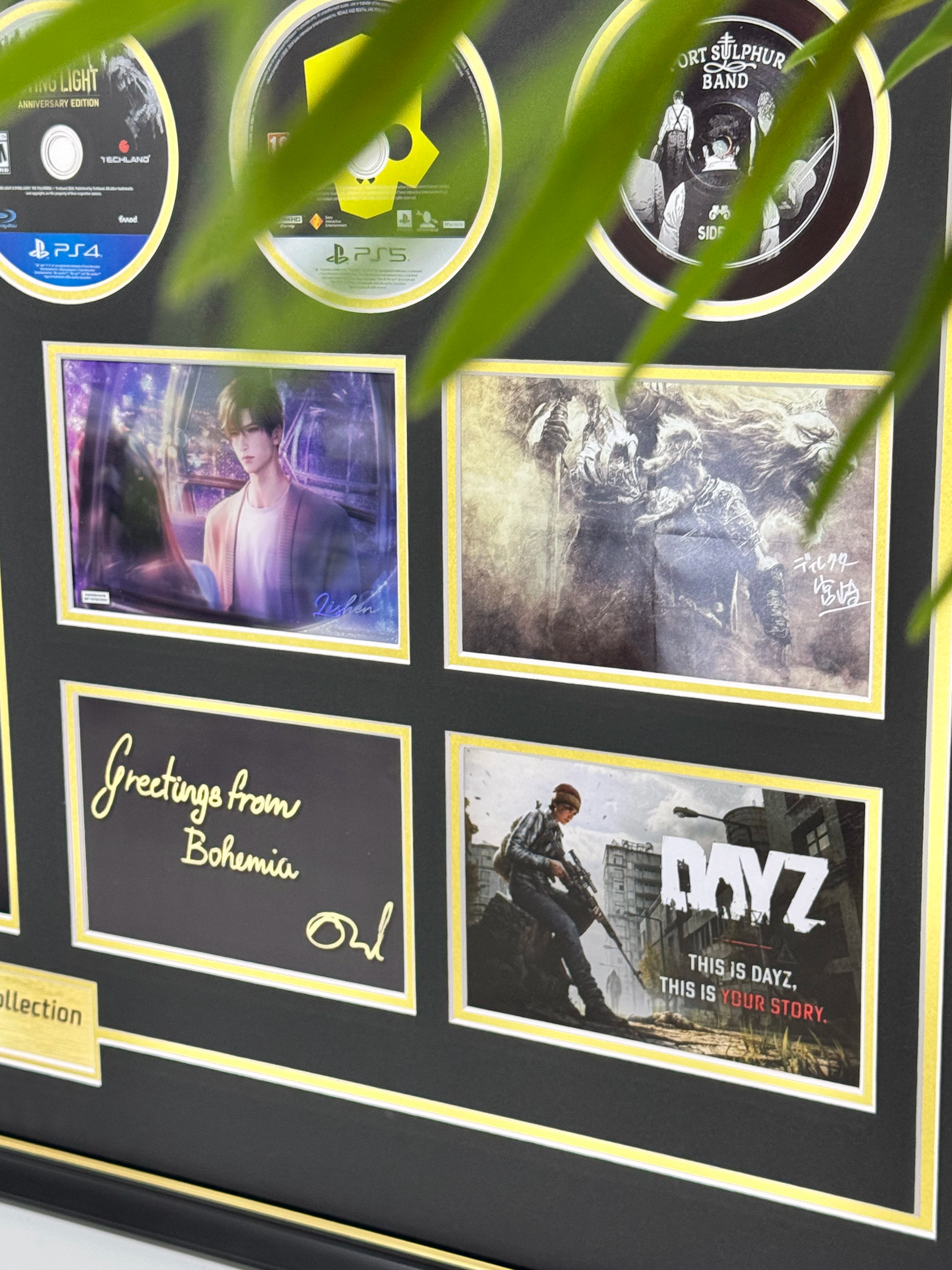 CD Projekt Art Custom Framing