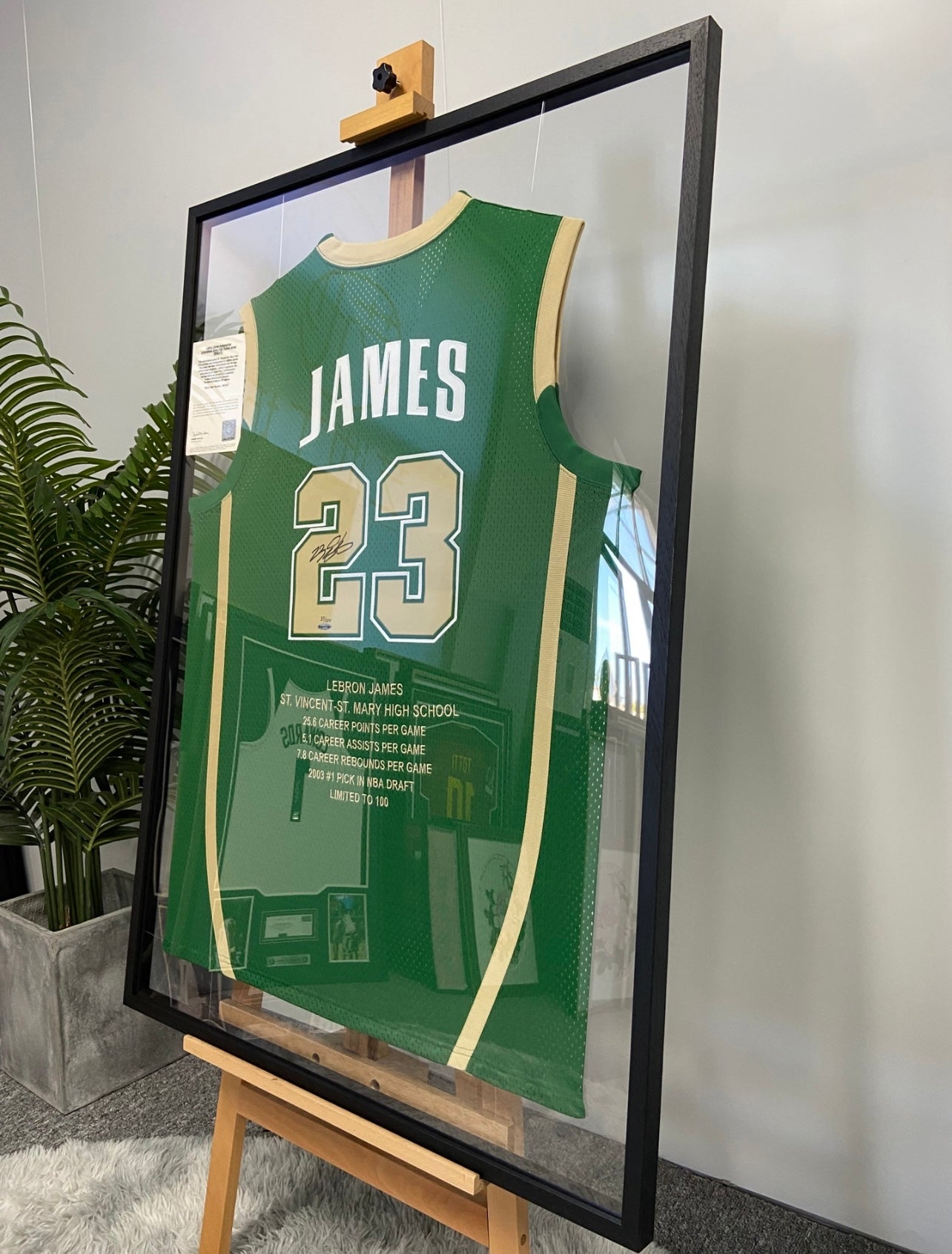 Irish LeBron James Autographed Framed Poster