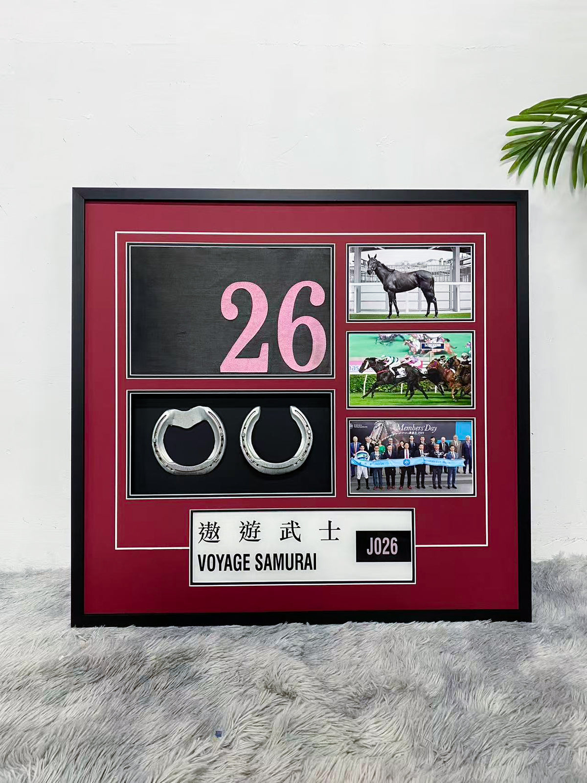 Voyage Samurai Hong Kong Racehorse Horseshoes Display Frame – J026