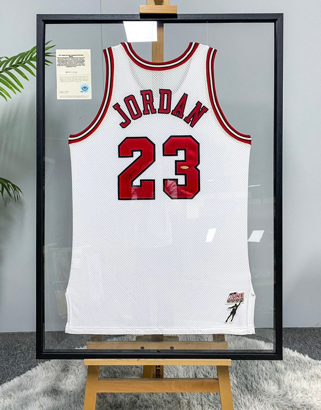 Chicago Bulls Michael Jordan Autographed Framed Jersey