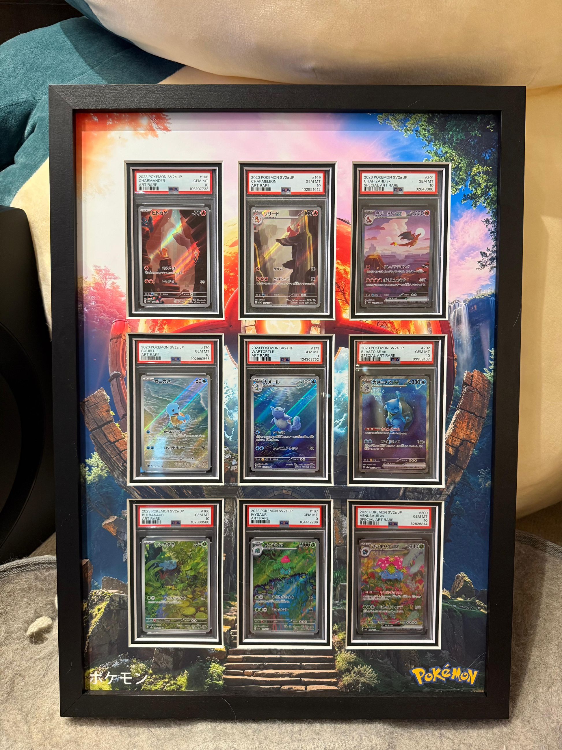 Pokémon Trading Card Custom Framed