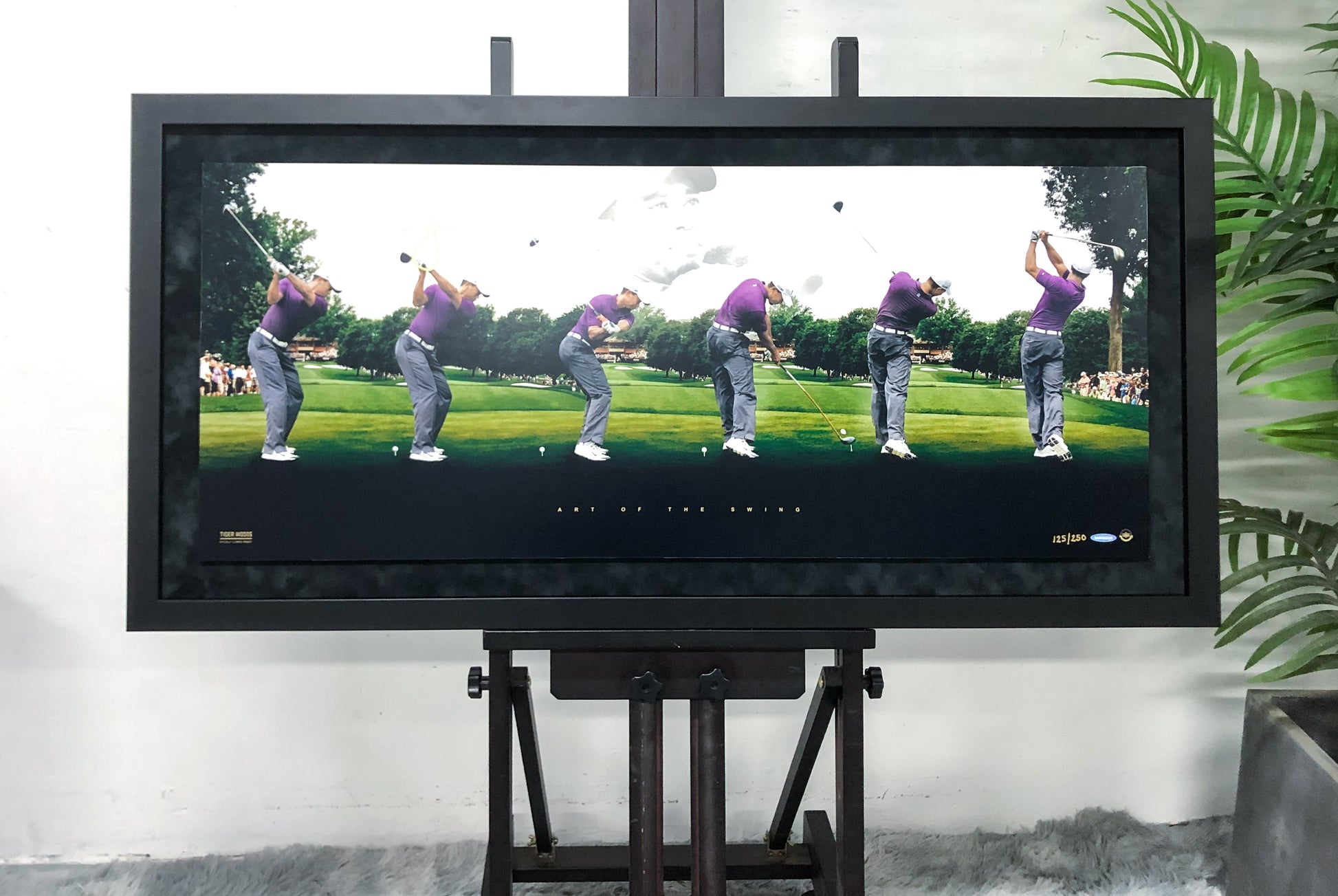 Tiger Woods Panoramic Golf Swing Signed Memorabilia