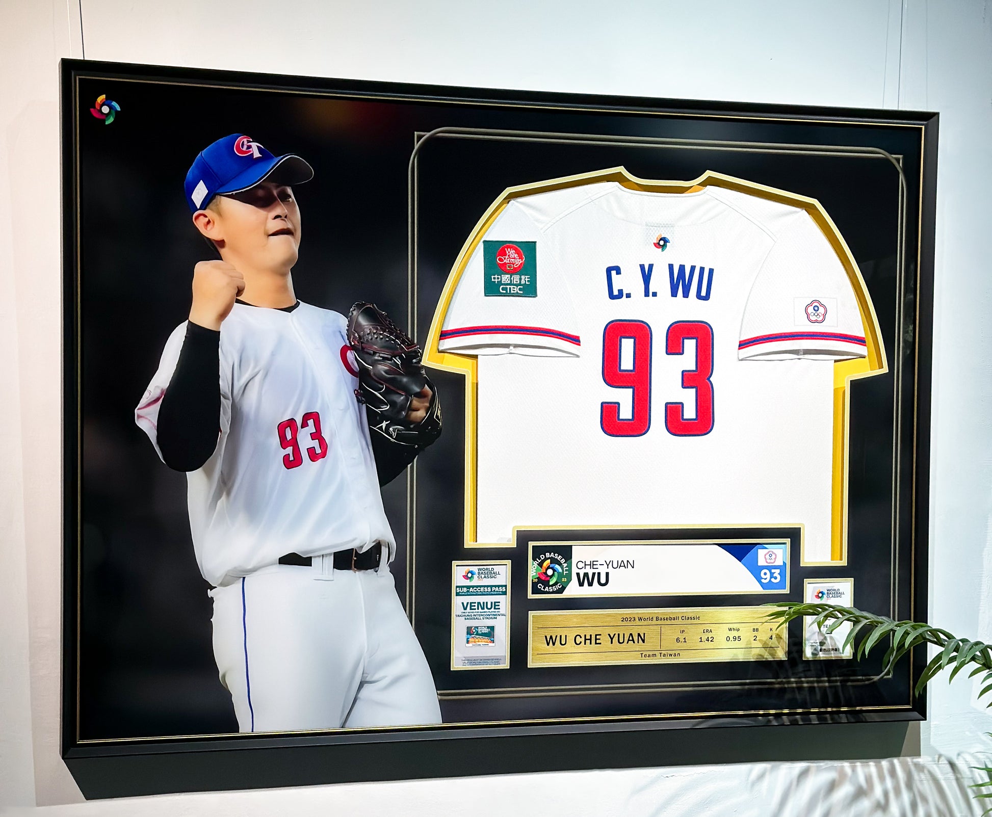Custom Framed Personal Baseball Jersey
