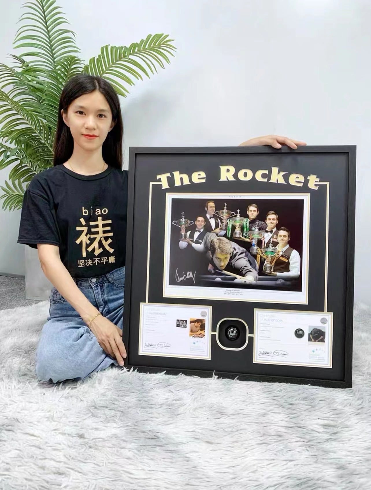 Ronnie O'Sullivan Signed Snooker Ball, Custom Framed