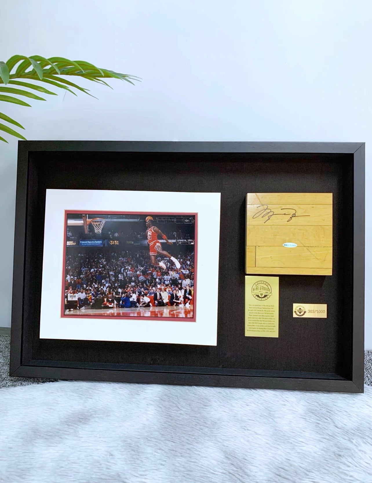Michael Jordan Collectible Item Custom Framed