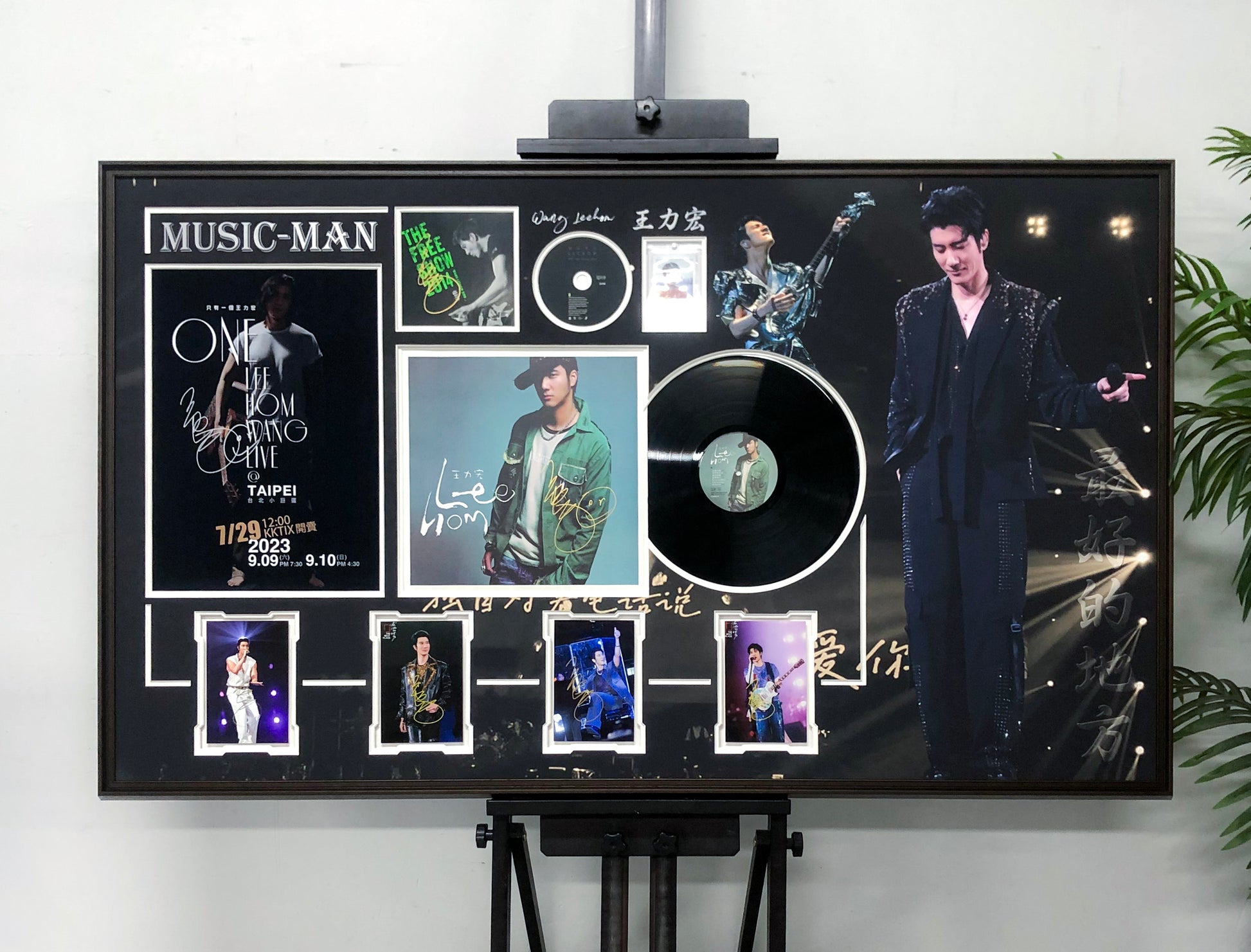 Vinyl records custom framing