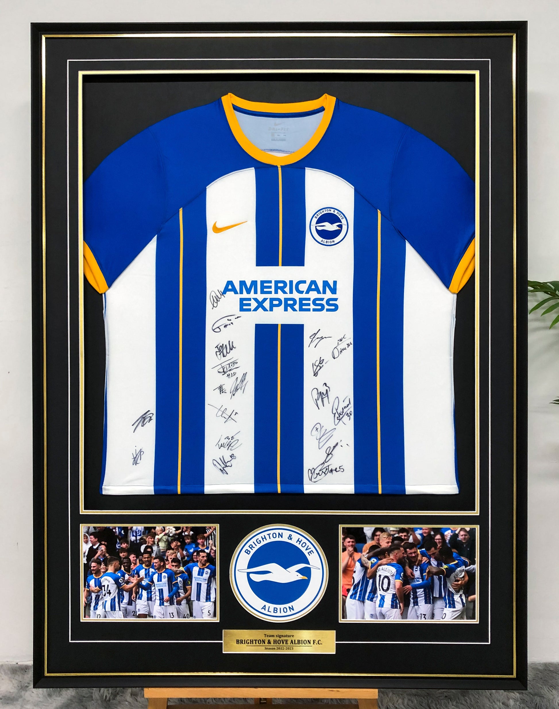 Brighton Custom Framed Autographed Jersey
