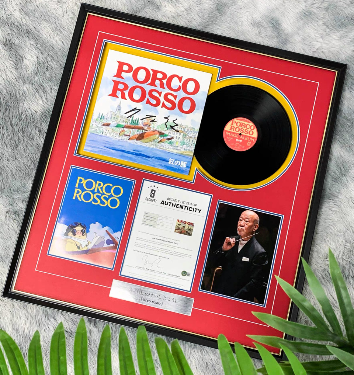 Vinyl Records Custom Framing