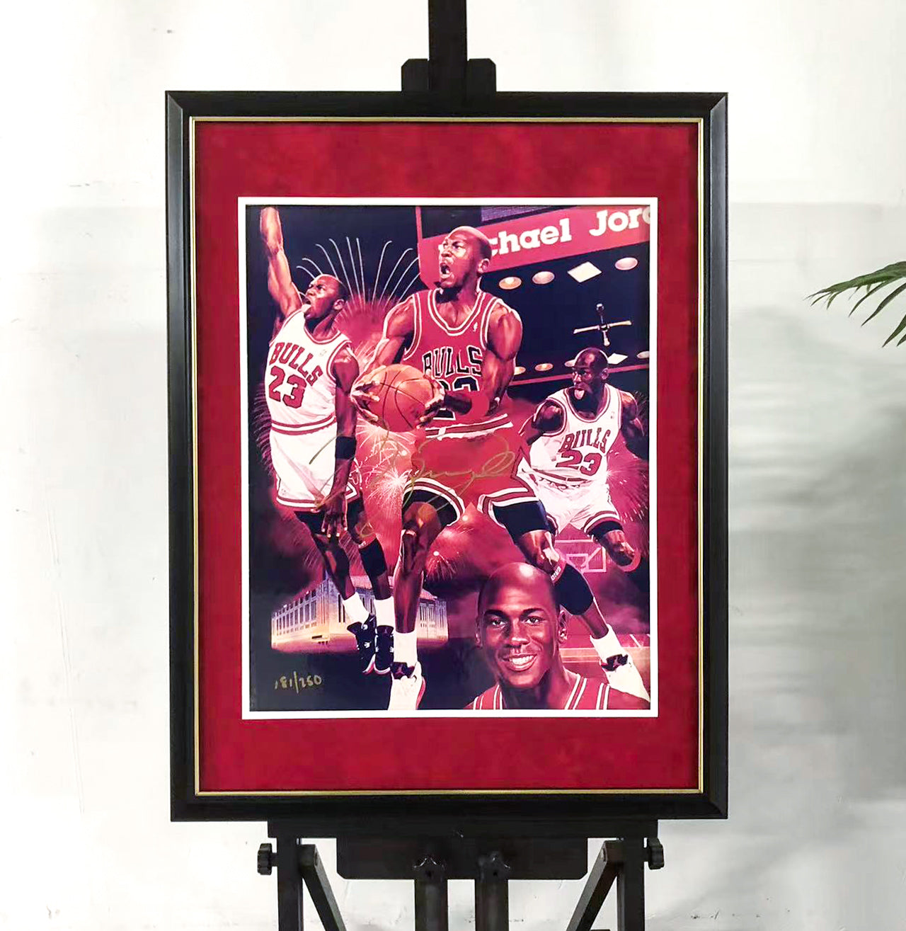 Michael Jordan Poster Custom Framing