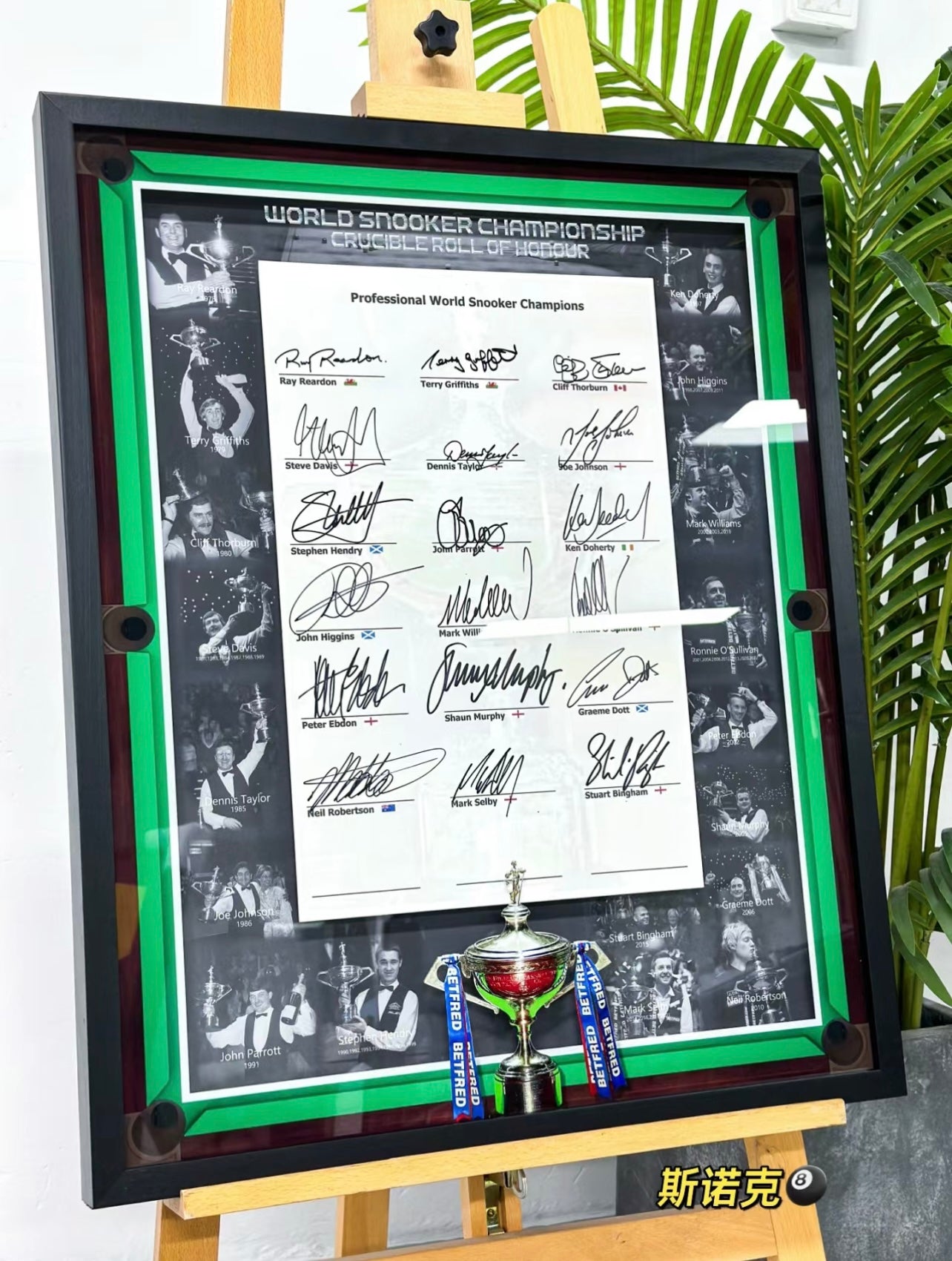 Snooker Custom Framed Sentimental Item