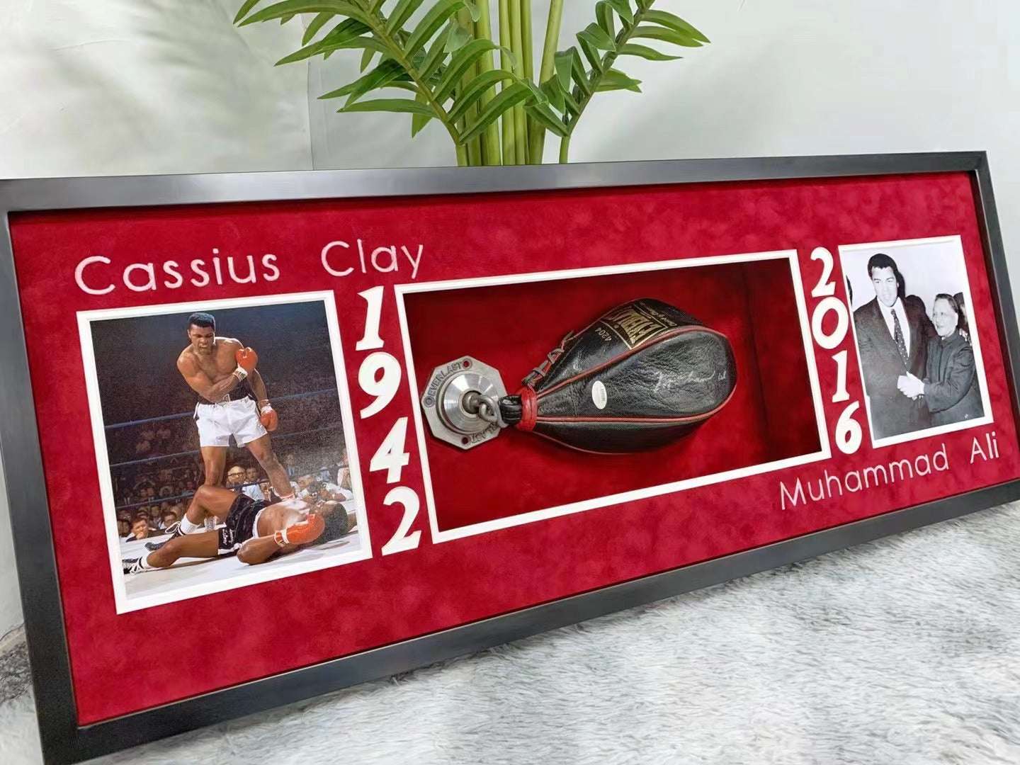 Cassius Clay Signed Boxing Gloves Framing