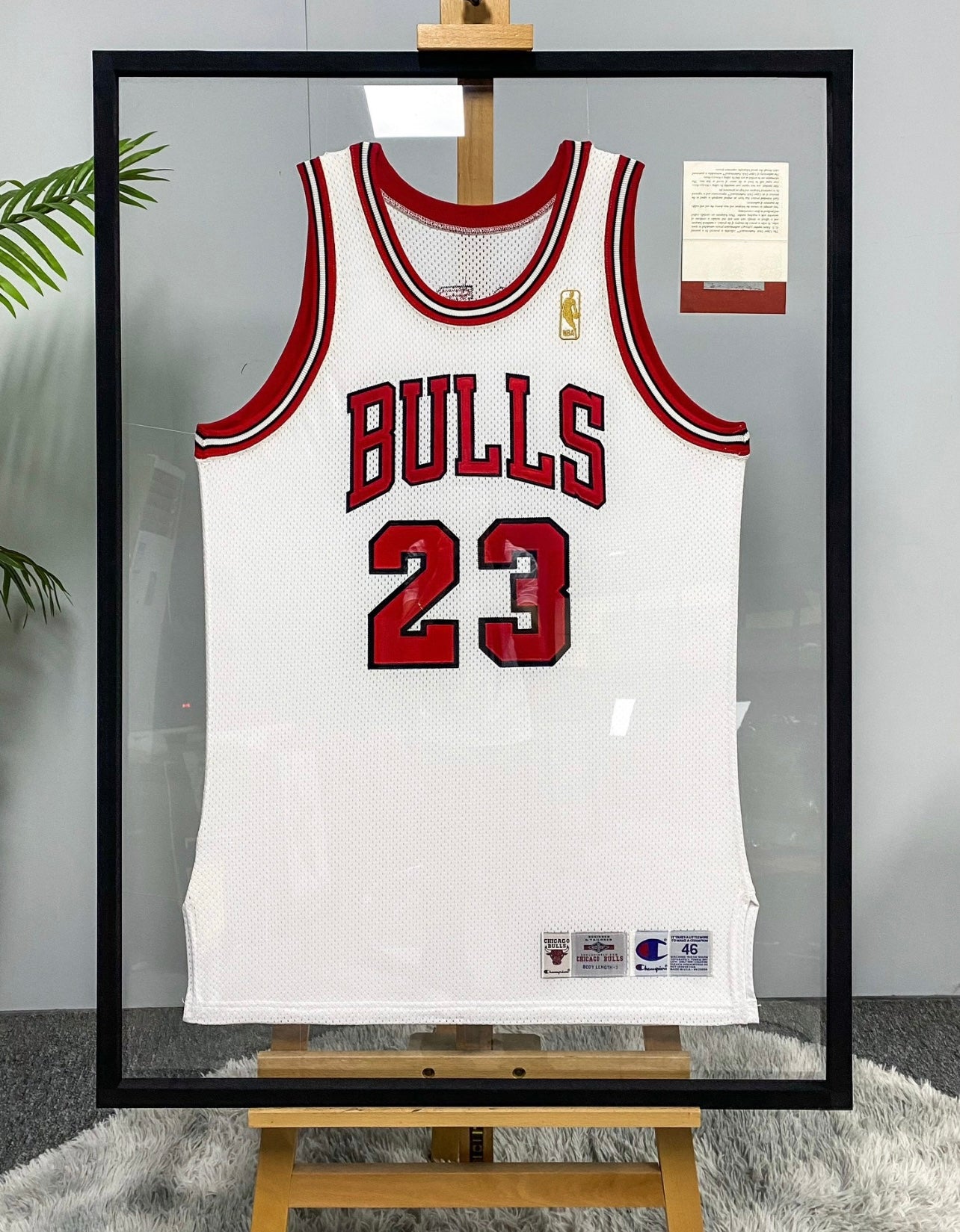 Chicago Bulls Michael Jordan Autographed Framed Jersey